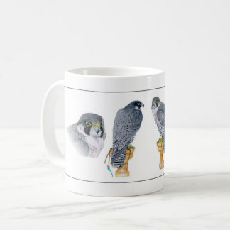 Mok Peregrine Falconry