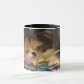 Mok Perzische katten (Midden)