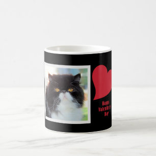 Mok Perzische kattenValentijn