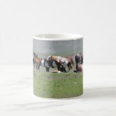 mok - Pinto Herd, South Dakota (Center)