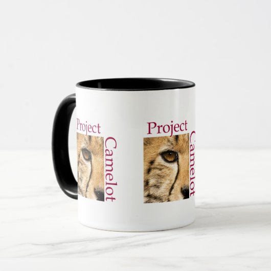 MOK PROJECTCAMELOT (Voorkant links)