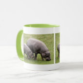Mok Pygmy Hippos (Voorkant links)
