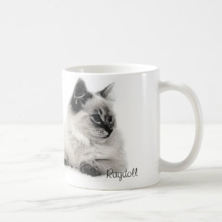 mok ragdoll
