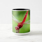 Mok rode dragonfly (Midden)