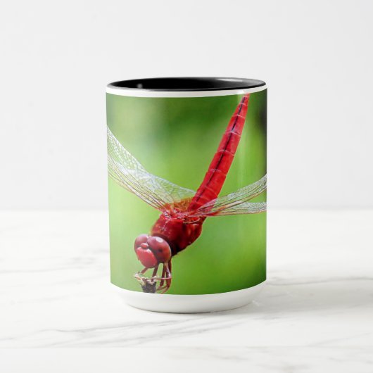 Mok rode dragonfly (Midden)