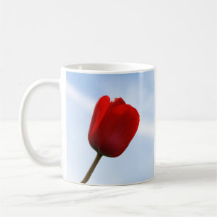 Mok rode tulp