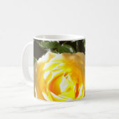 Mok Scripttuin (Voorkant links)