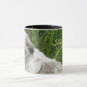 Mok Shih Tzu (Midden)