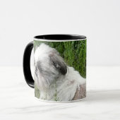 Mok Shih Tzu (Voorkant links)