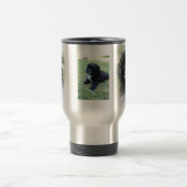 Mok Shih Tzu Coffee (Center)