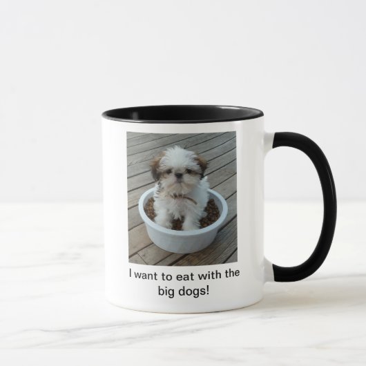 Mok Shih Tzu Puppy (Rechts)