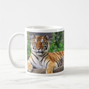 Mok Siberische tijger