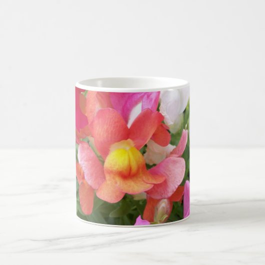 Mok Snapdragon (Center)