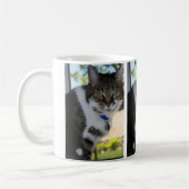 Mok Softy Tabby Cat (Links)