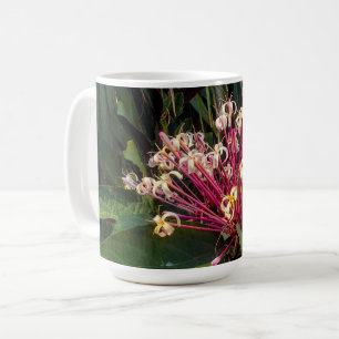 Mok Starburst Clerodendrum Flowers