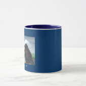 mok "Stormy Corvid" (Midden)