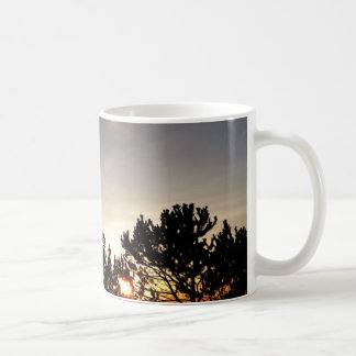 Mok Sunset and Whitebark Pine