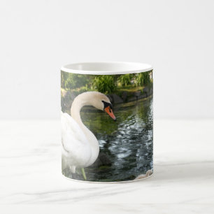 Mok Swan Coffee