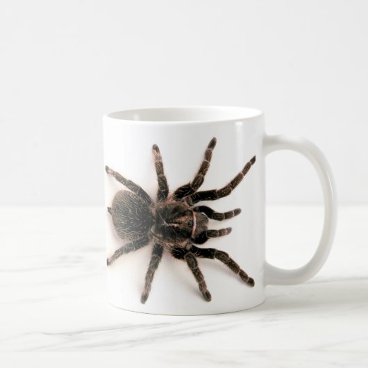Mok Tarantula Spider (Rechts)