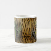 Mok Tiger Coffee (Center)