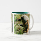 Mok Tiger Coffee (Voorkant rechts)