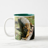 Mok Tiger Coffee (Links)