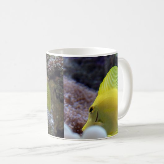 mok tropische vissen (Voorkant rechts)