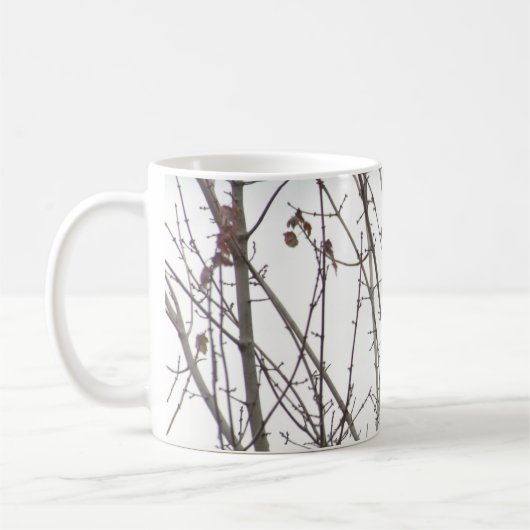 Mok van ballastvogels (Links)