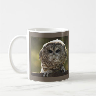 Mok van Barred Owl