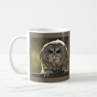Mok van Barred Owl