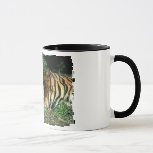 Mok van Bengal Tiger Coffee (Rechts)