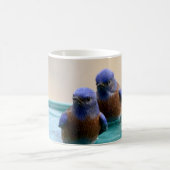 Mok van blauwvogel (Center)