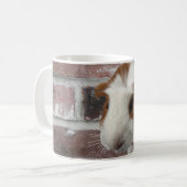 mok van cavia's (Voorkant links)