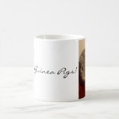 Mok van cavia's (Center)