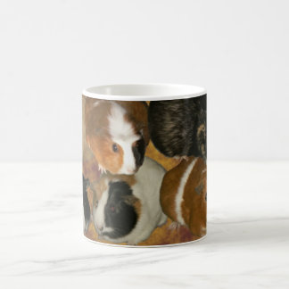 Mok van cavia's
