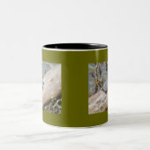 Mok van de baby geverfde schildpad (Center)