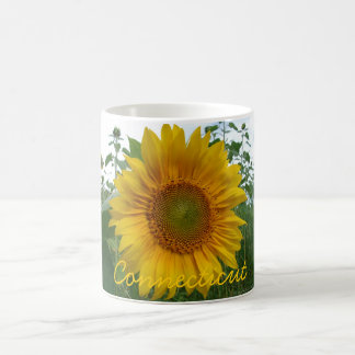 Mok van de Connecticut Sunflower