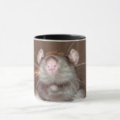 mok van de grijnrat (Midden)