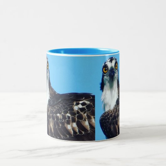 Mok van de koffiebeker van de vogels - Osprey - Vo (Center)