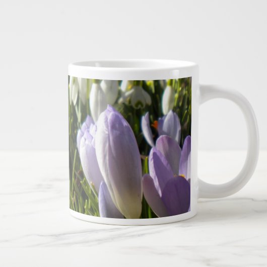 Mok van de lente-Crocus-specialiteit (Rechts)