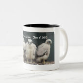 Mok van Du Bois Falcons 2013 (Voorkant rechts)