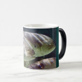 Mok van Fish Art Morph (Voorkant rechts)