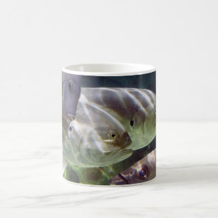 Mok van Fish Art Morph