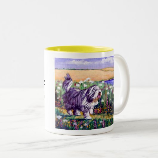 Mok van gedekte collie (Voorkant rechts)