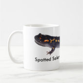 Mok van gepolijst salamander (Links)