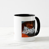 Mok van katten en katten (Voorkant rechts)