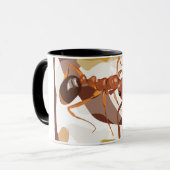 Mok van koffie (Megalomyrmex) (Voorkant links)