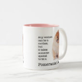 Mok van pommeren (Voorkant rechts)