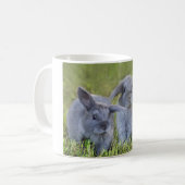 Mok van twee bundels (Voorkant links)