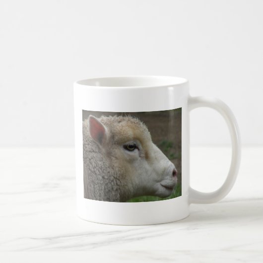 Mok van witte schapen (Rechts)